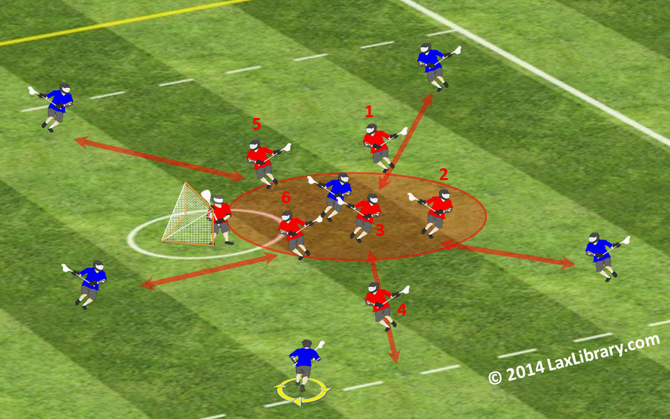 spider defense basic set up