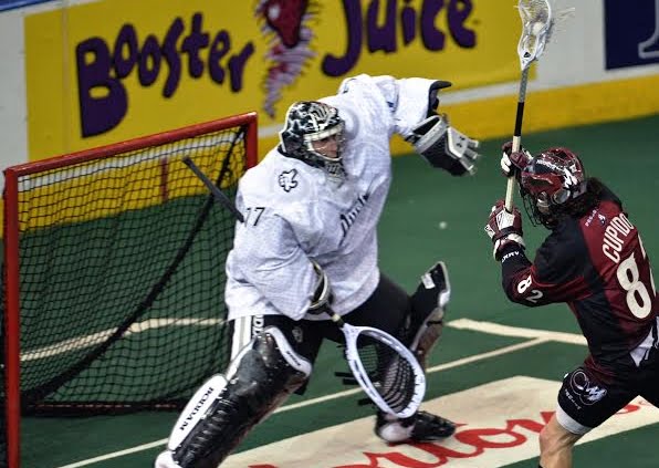 national lacrosse league NLL cupido bold rush mammoth
